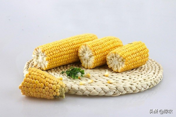 中国什么地方产的玉米最好吃？这5种特色玉米可能你听都没听过