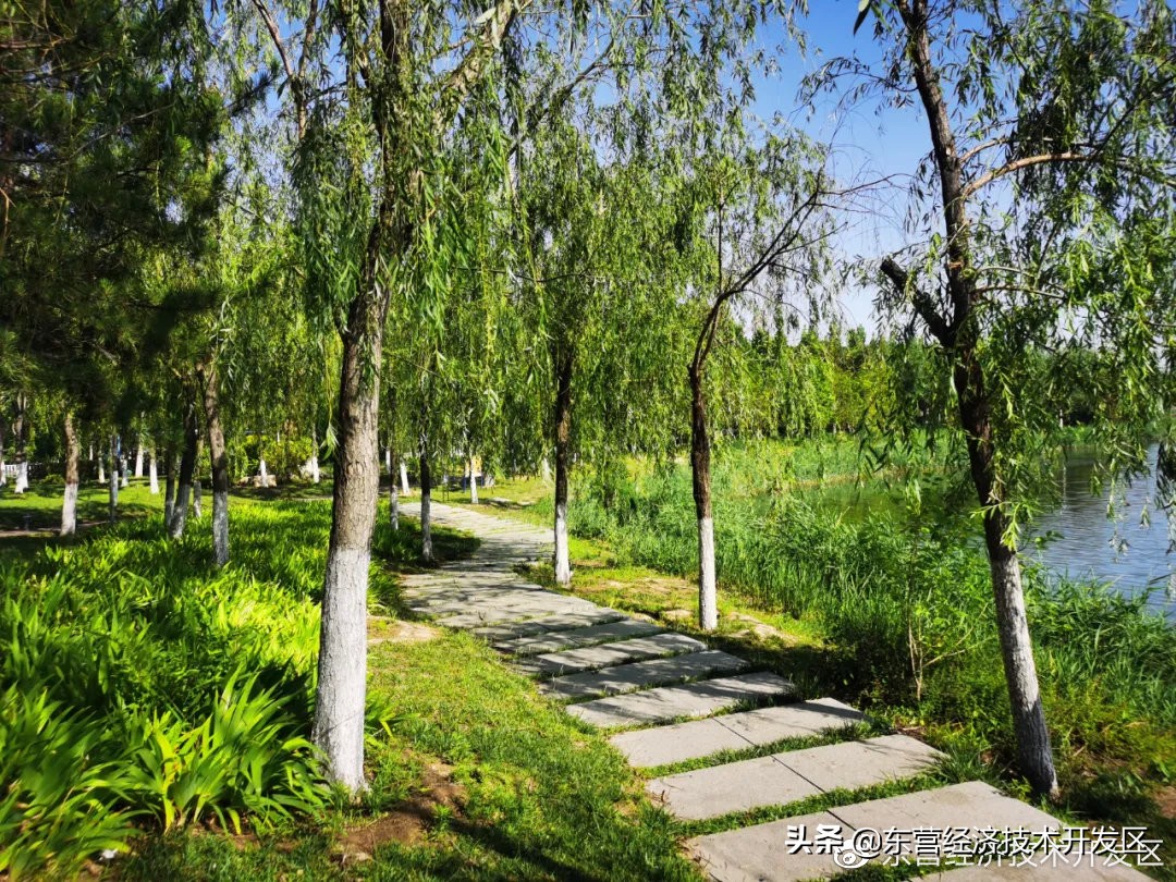 来开发区必去的地方,开发区秋季美好的风景