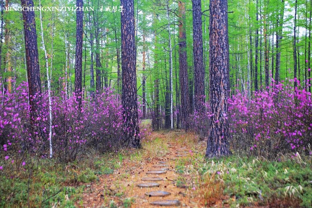 寻找中国最美的春季,探寻中国最美秘境