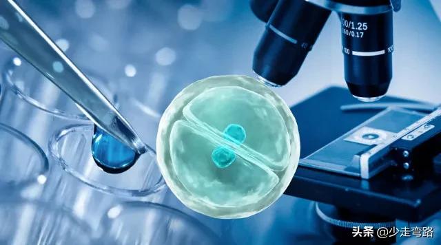 真菌感染和细菌感染是怎么引起的,白血病真菌是怎么带来的