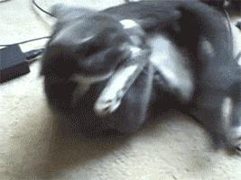 “如果这群女混混*攻围**我,我会舌战群儒!”你会怎样脱困?