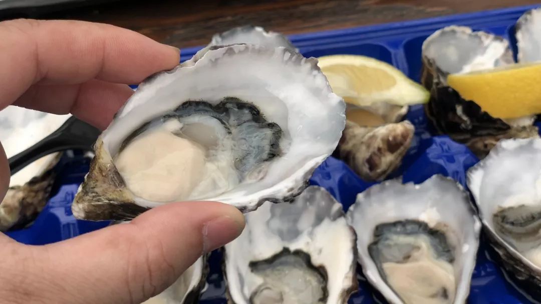 湖南口味生蚝怎么做好吃,什么口味的生蚝最好吃