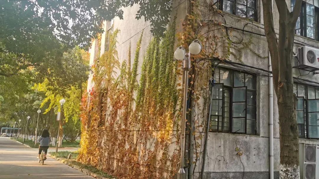 江苏省淮阴师范学院图片,江苏高校简介淮阴工学院