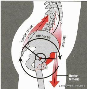 孕期腰背痛是怎么回事,孕期腰痛背痛一般要痛到什么时候