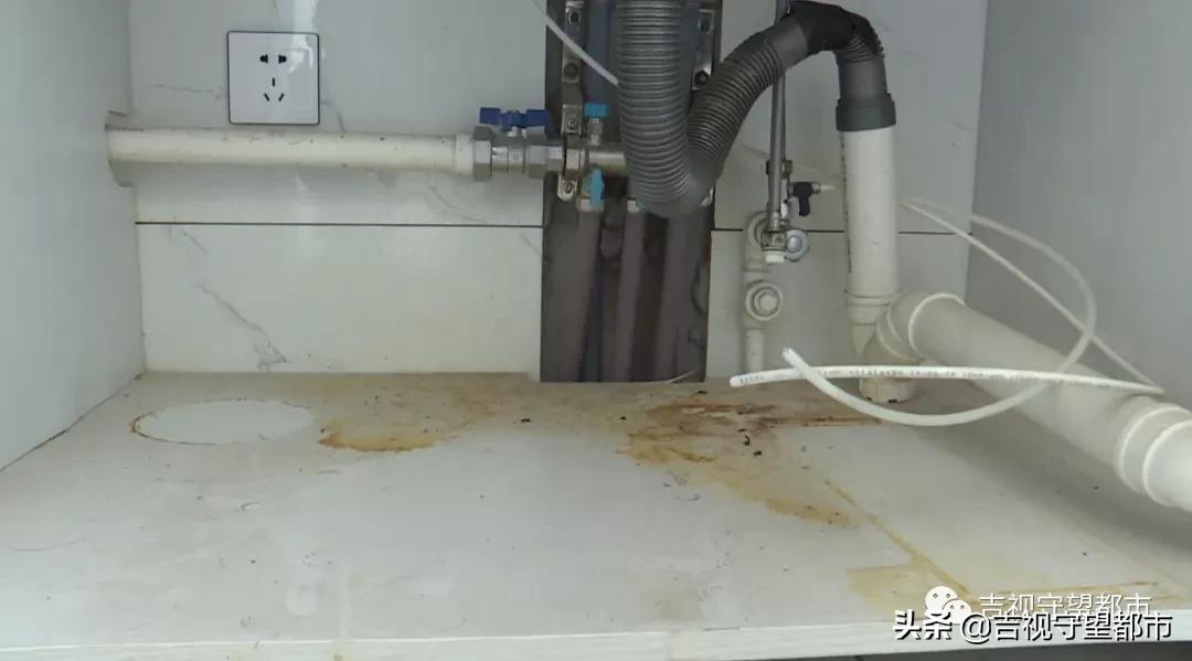 租客忽然搬走,租户突然搬走房子格局