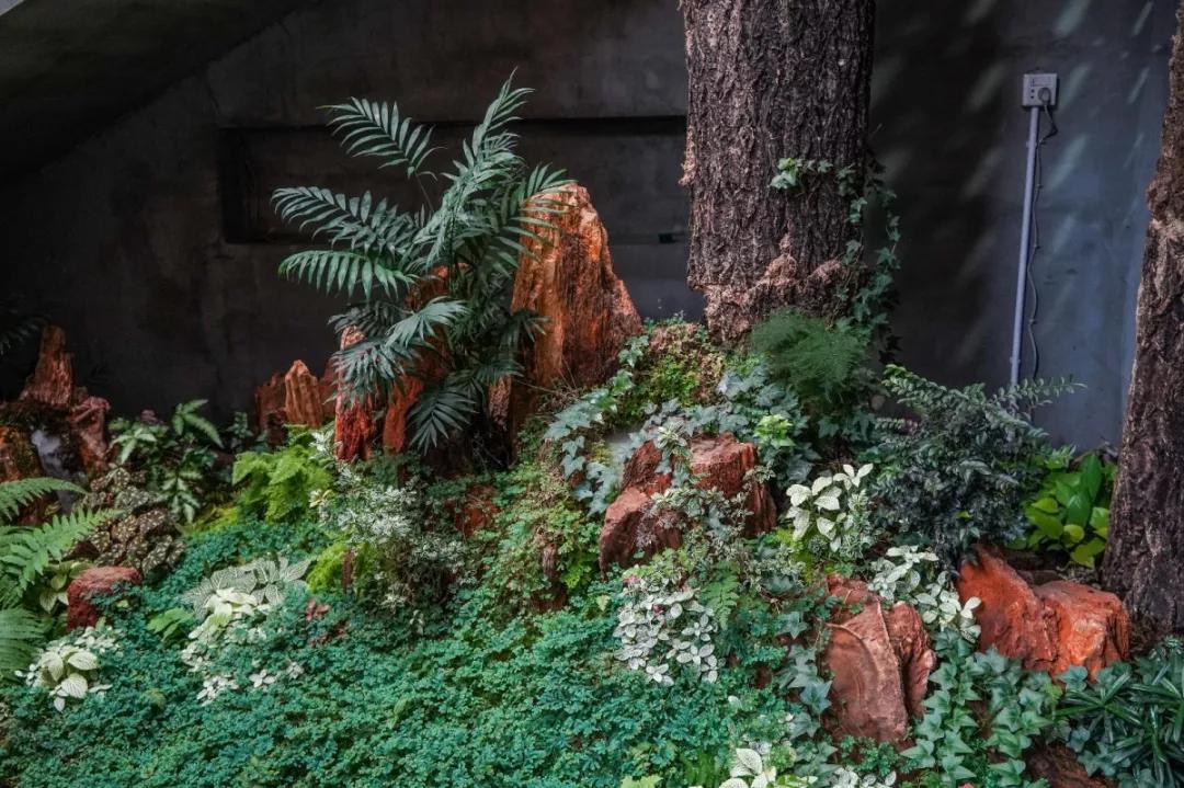 粤菜团圆大盆菜,团圆盆菜来啦