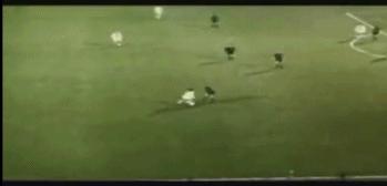 箭逐云鸿落鹰随月兔飞什么意思,箭逐云