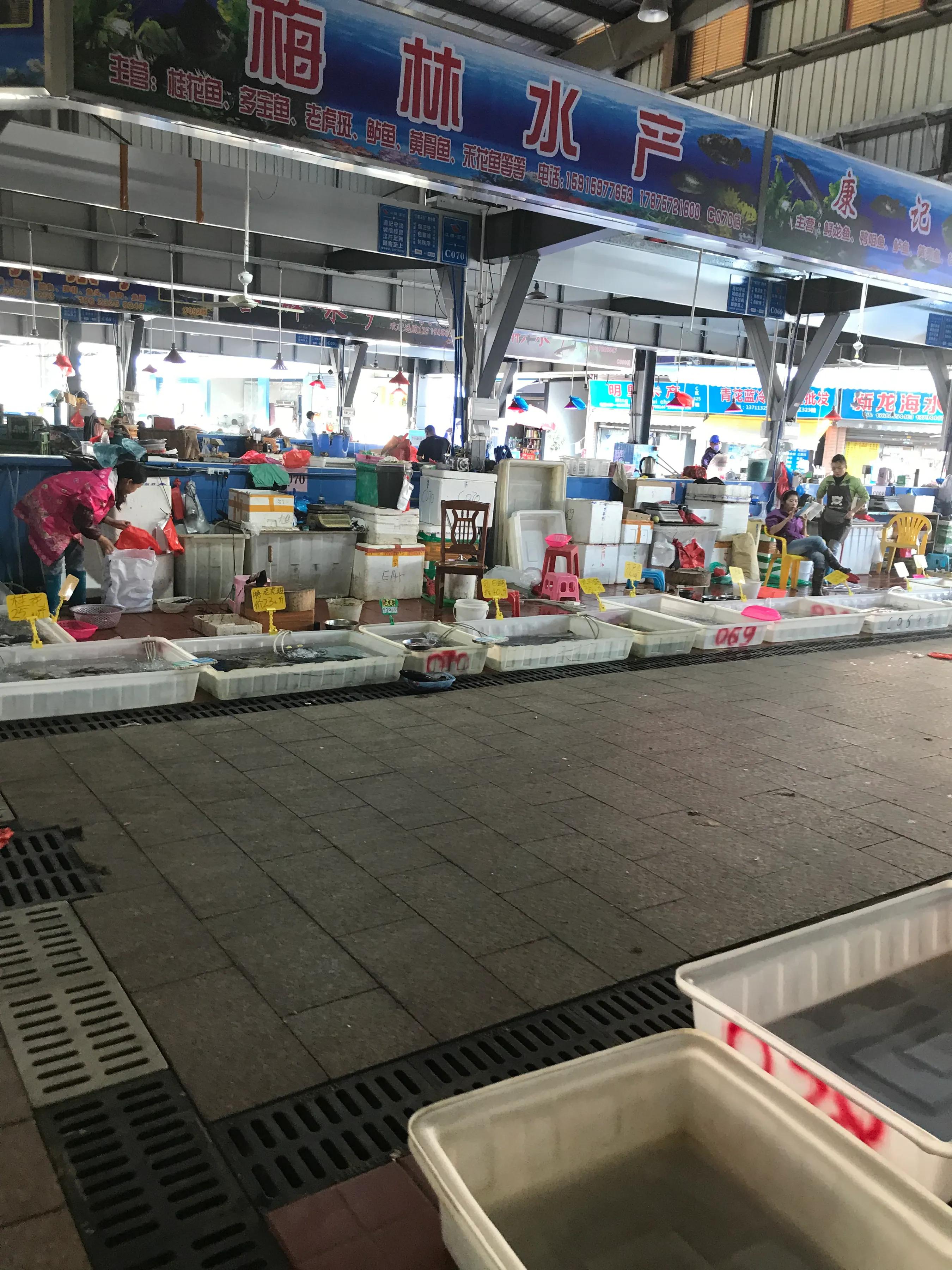 广州荔塱农贸批发市场,芳村荔塱菜市场