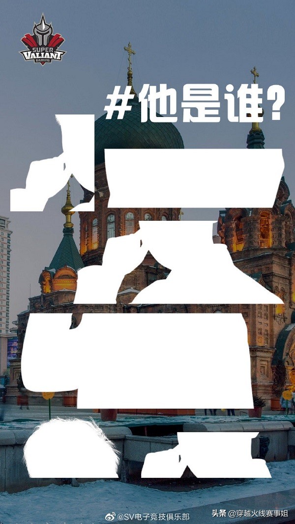 转会期最新消息白鲨,白鲨转会最新进展啥时候官宣