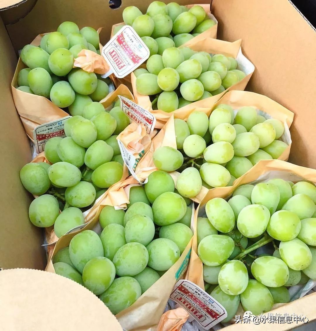 开鲜花店踩过的坑,开水果店过来人的忠告