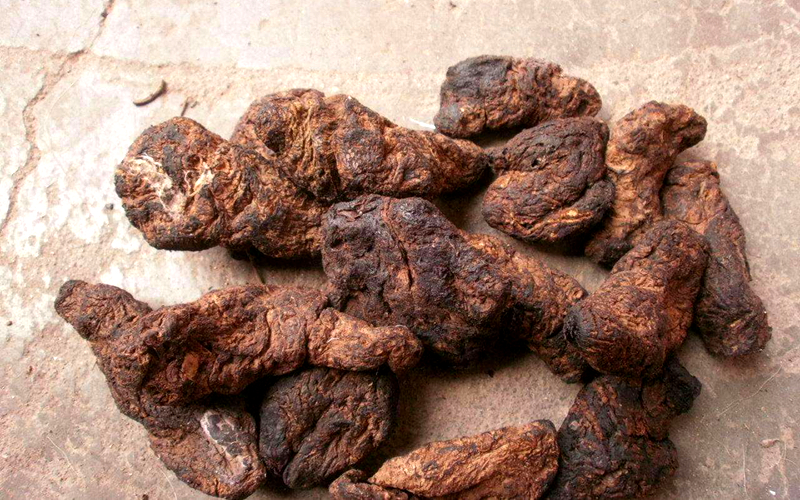 有关地黄丸的详细介绍,地黄丸的来历