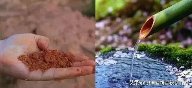 麻阳长寿冰糖橙之乡,麻阳冰糖橙中果和大果哪种好吃