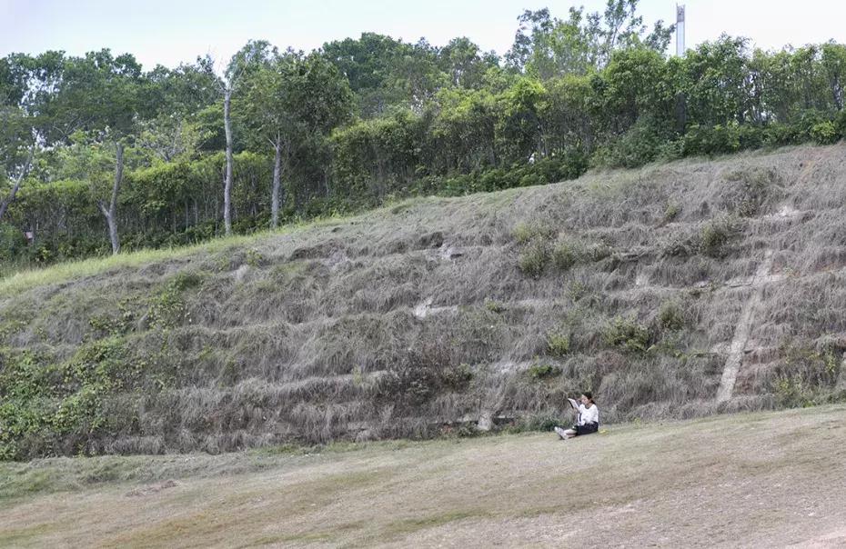 龙岗地标大厦,龙岗未来地标建筑在哪个地段
