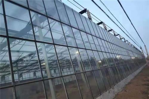 连栋温室大棚用什么薄膜年限最久,连栋薄膜温室大棚搭建方式和方法