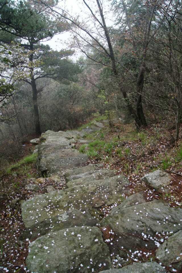 香山香炉峰,西登香炉峰