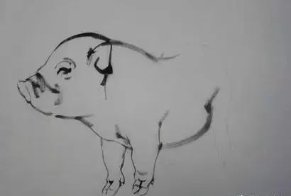 猪年国画：猪的绘画步骤