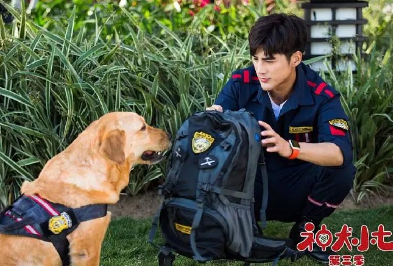 姜潮和麦迪娜妈妈,姜潮和麦迪娜妈妈的对话