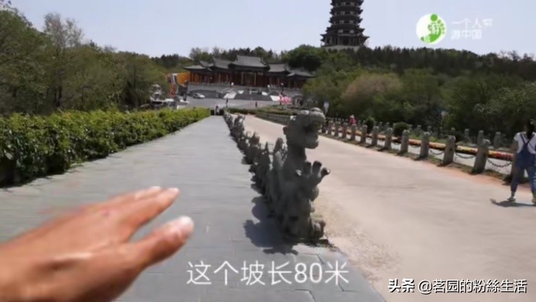 沈阳怪坡虎园,沈阳怪坡