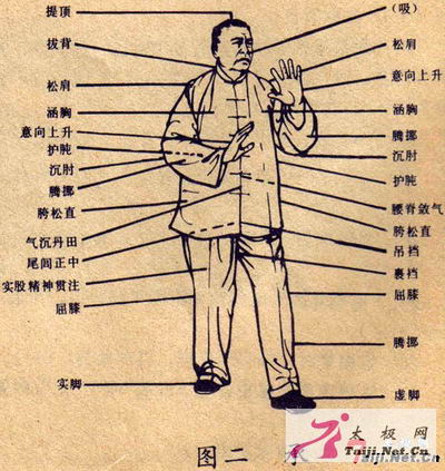 武当玄武派三十六式太极拳讲解,涂师道演练的武当三十六式太极拳