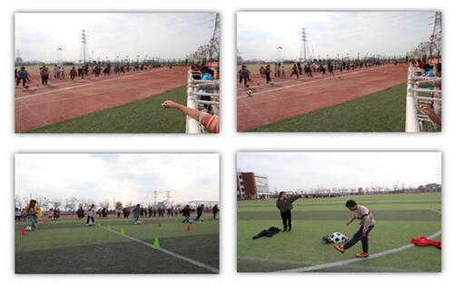 三棵树学校运动会,三棵树小学运动会