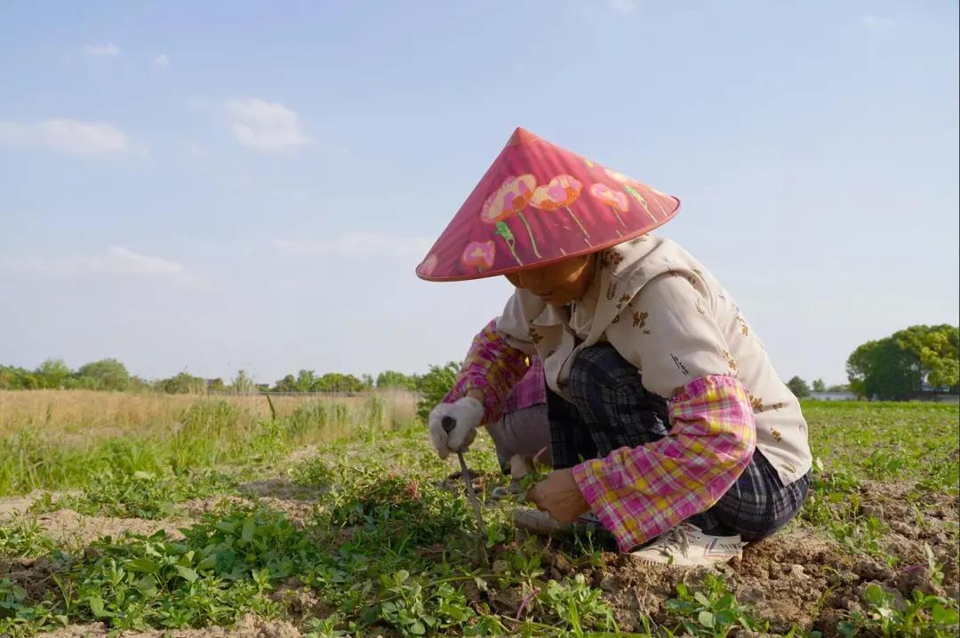 明知亏钱还是要做的是什么,明知亏本就该放手