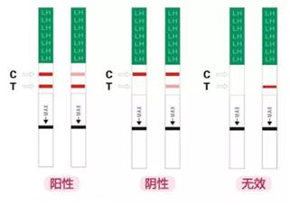 如何自己监测排卵,怎样在家监测排卵