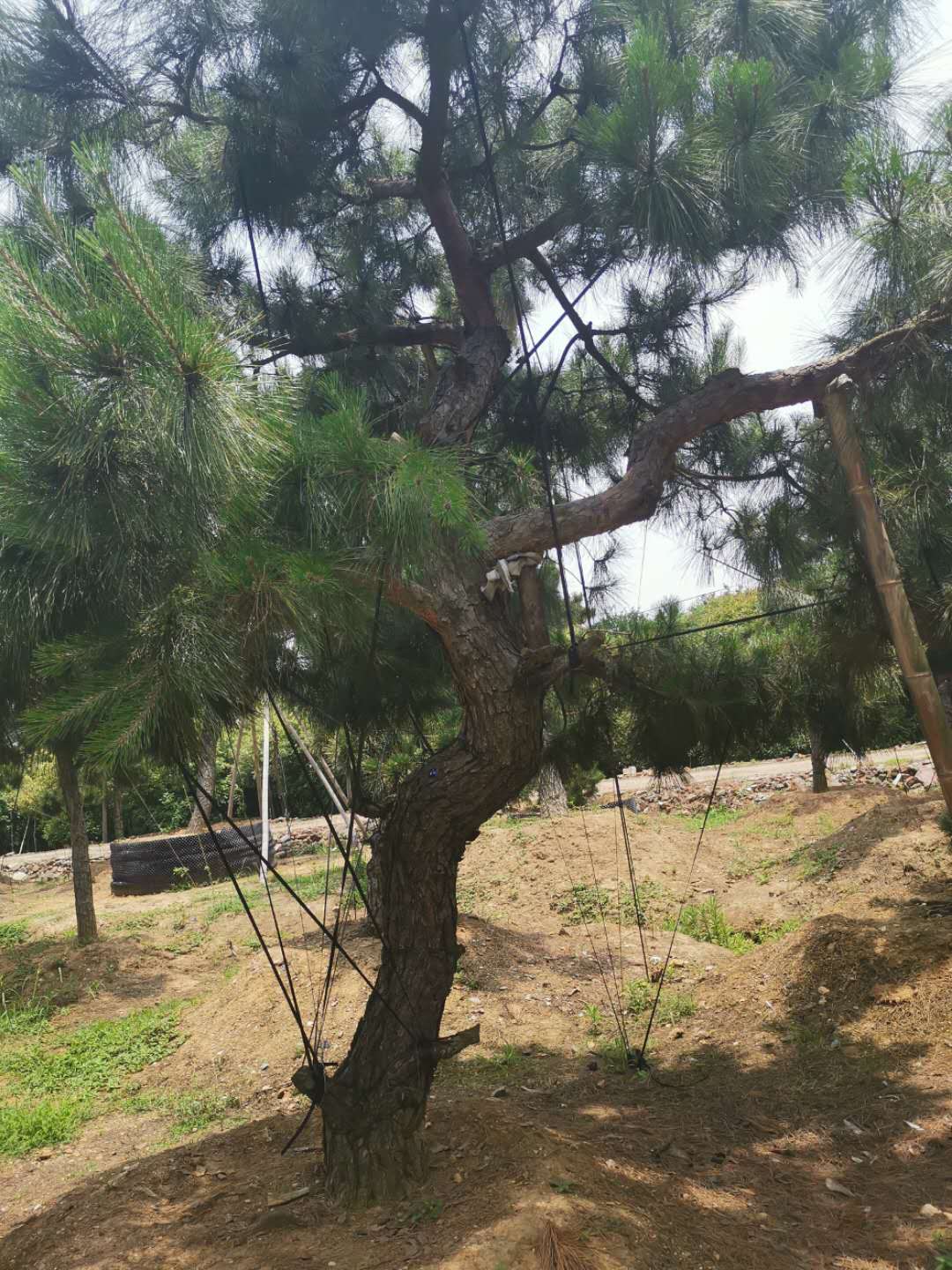 叹为观止自然风景,叹为观止高清图