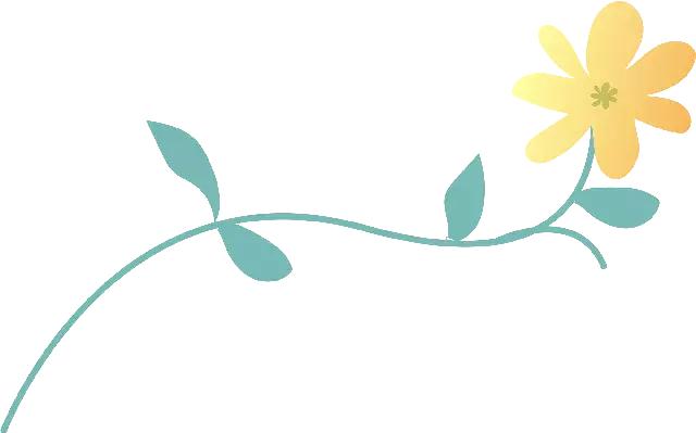 许昌市二中教育集团,河南省校园足球省长杯漯河