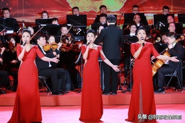 黑鸭子热血颂合唱,黑鸭子誓言无声简谱