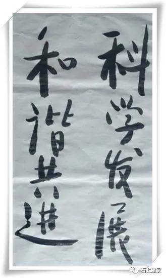 金丝楠乌木根艺组合图片,金丝楠乌木根艺家具