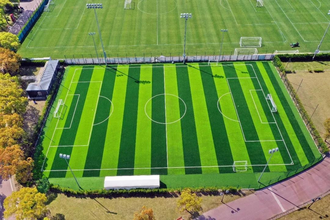 世纪公园有足球场吗,世纪公园800个标准足球场