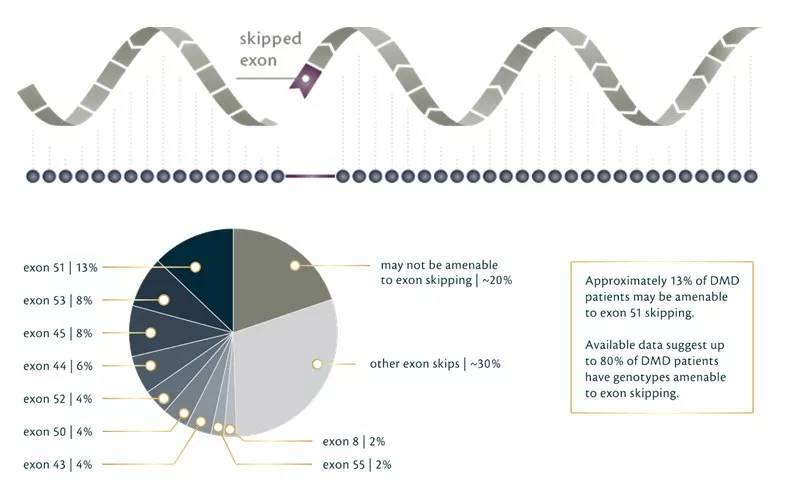 终成正果！FDA今日加速批准DMD创新疗法
