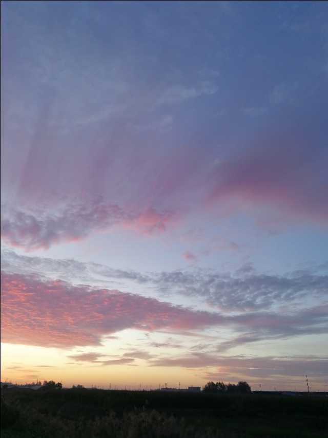 乡土散文乡味乡思,记忆里的家乡味散文