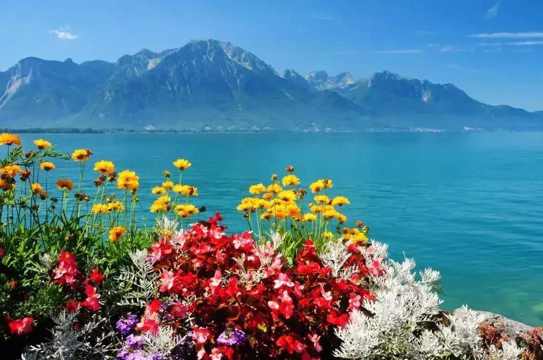 韩国爱的迫降景点,爱的迫降中的瑞士景点航拍