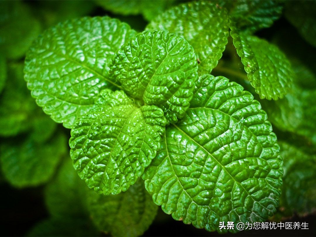 下肢畏寒,下肢怕冷畏寒血液循环不好怎么办