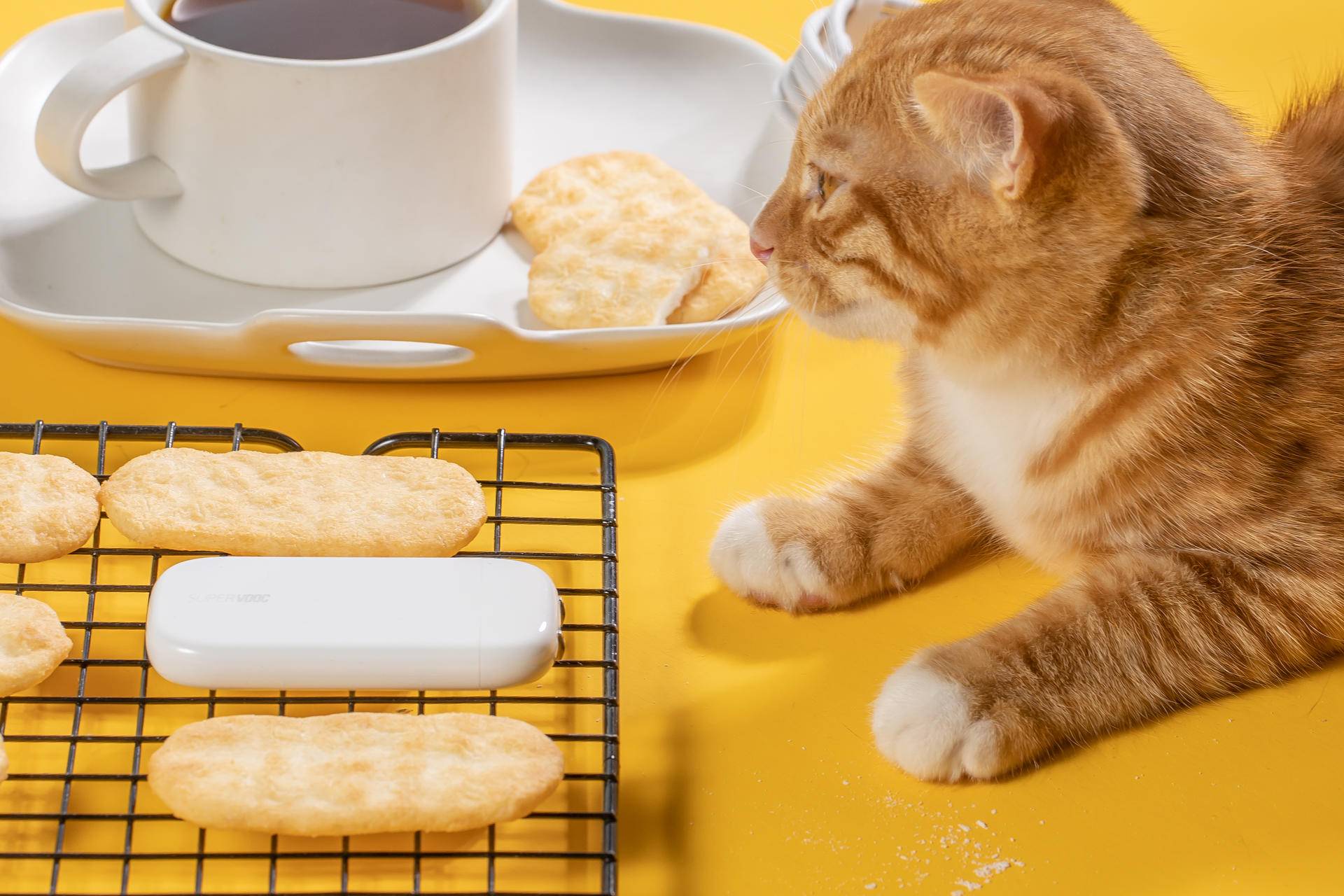 oppo超级闪充60w充电器,官方oppo超级闪充充电器