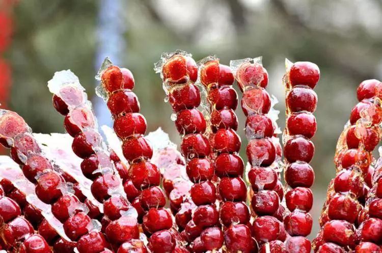 浙江杭州民宿3天二晚,浙江浦江登高村春社民宿