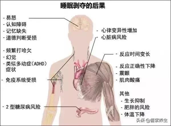 睡眠不足可引起自身免疫力问题吗,睡眠不足对免疫系统的影响