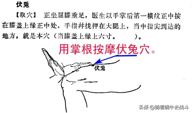 按摩胃经的正确手法和时间,按摩胃经穴有什么好处