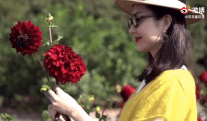 章泽天与董花花关系,章泽天和董花花什么关系