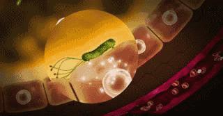 刷牙怎么刷能立刻从黄牙变成白牙,刷牙白牙小妙招