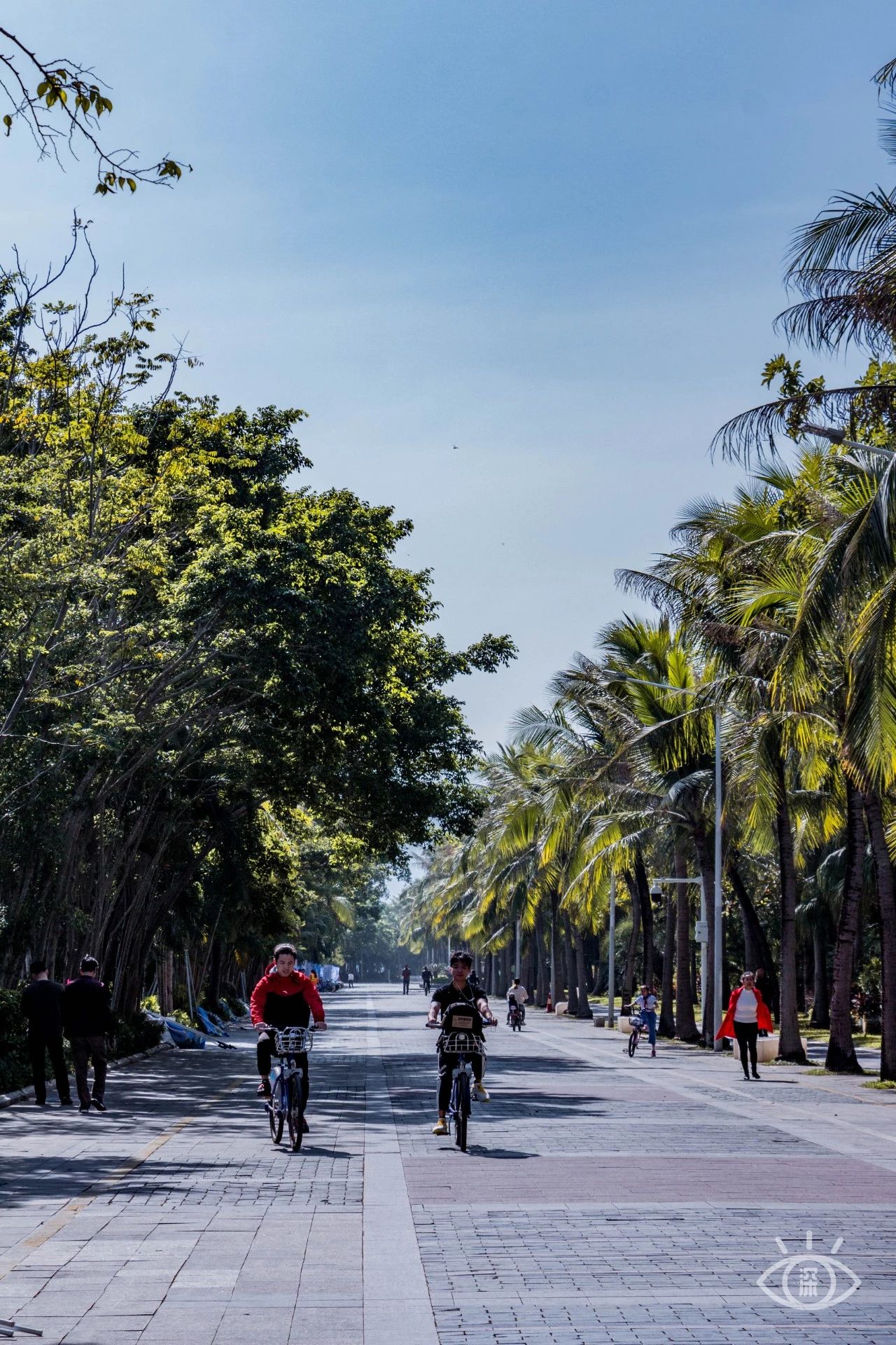 深圳绝美小岛景点介绍,深圳有哪些绝美的海景