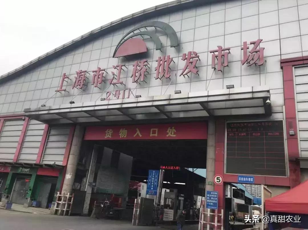 菜农如何搞批发,自己去批发蔬菜进货需要注意什么