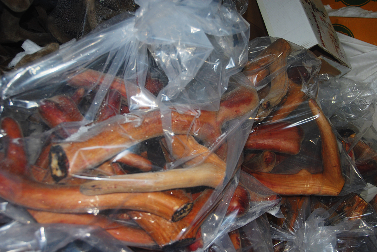 吉春制药健肝灵胶囊,吉春制药阿胶补血口服液