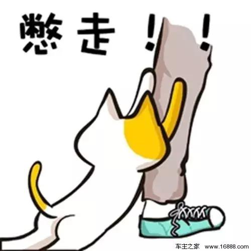 网上代购骗局最新消息,海淘代购法骗局