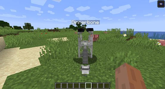 命名牌冷知识,在我的世界中命名牌的冷知识