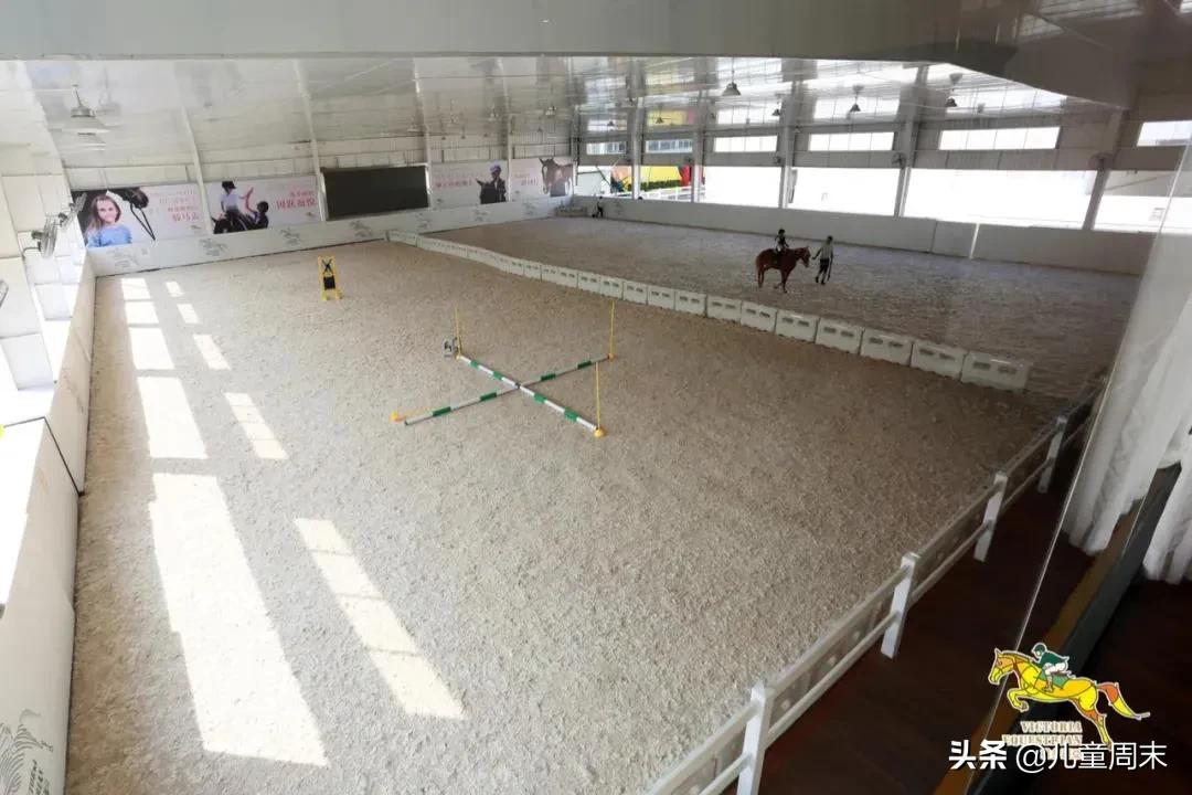 深圳海边骑马地点推荐,深圳骑马最佳地点