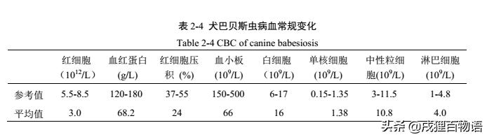 夏季炎热,狗狗便血而亡,元凶藏在这里!你家狗也会有