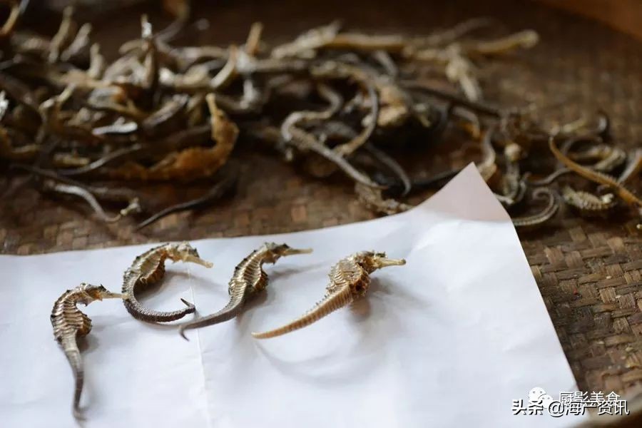 全世界顶级的4种海鲜,世界十大名贵海鲜