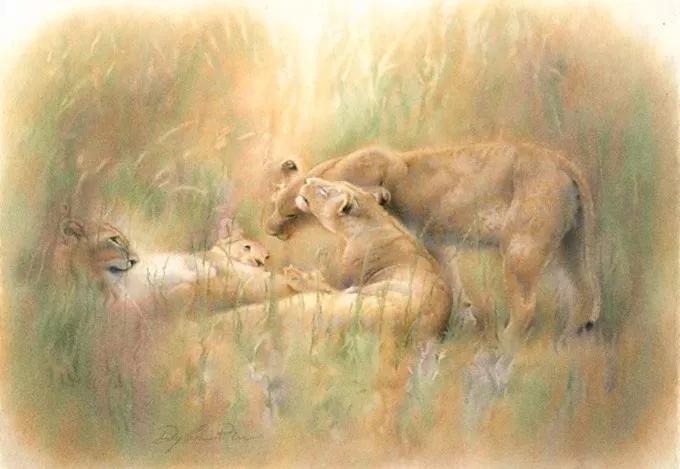 异域奇境、恍如隔世,迪兰·斯科特·皮尔斯的水彩画,真的超美